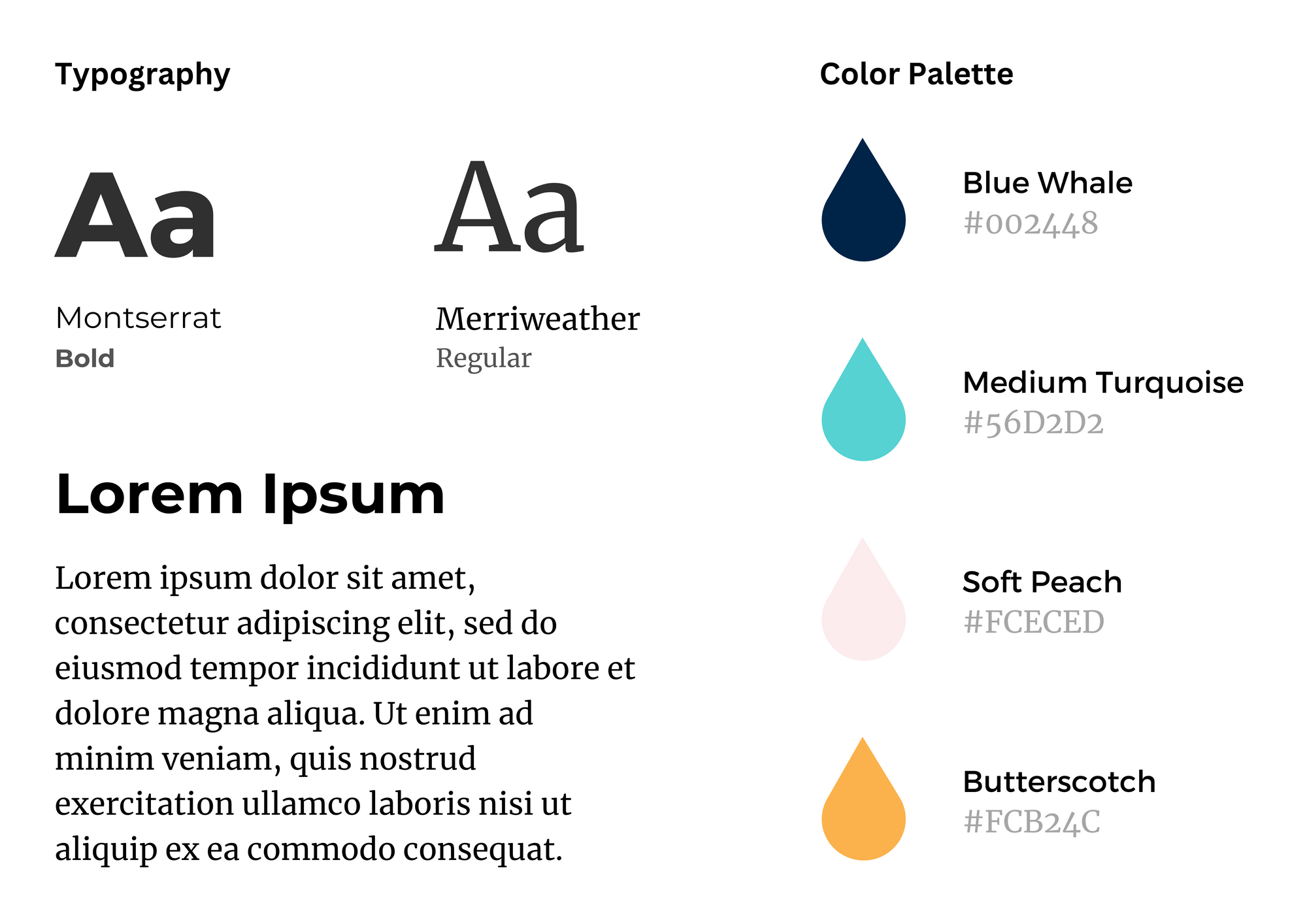 Color Scheme and Typography 1